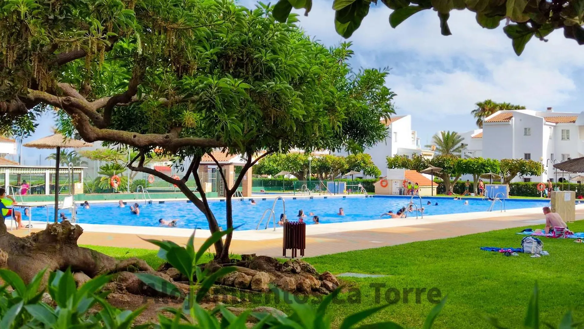 Laguna Beach Pool - Alojamientos La Torre Torrox